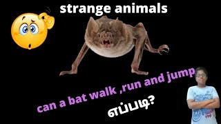 வினோதமான 5 விலங்குகள் || 5 strange animals || Tamil || the odd one Sanjay.