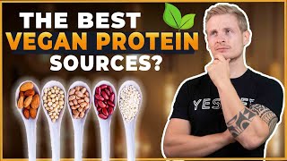 WHAT ARE GREAT VEGAN PROTEIN SOURCES?