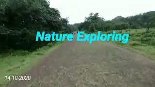 Nature Exploring Ways