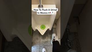 How To Flush A Urinal In Mexico 🇲🇽🚰 #Shorts