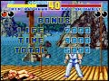 tas snes sfc fatal fury 2 kim