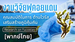 งานวิจัยฟูคอยแดน Fucoidan คุณสมบัติในการเสริมสร้างภูมิคุ้มกัน และ ต้านไวรัส พากย์ไทย