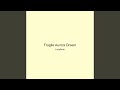 Fragile Aurora Dream