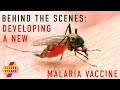 Behind the scenes: developing a new malaria vaccine