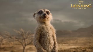 "Be Our Guest" TV Spot | The Lion King