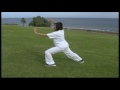 24 gesture tai chi chuan demonstration by fang qin