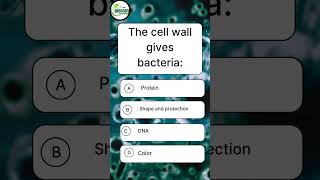 "What Does the Cell Wall Provide to Bacteria? | Easy Biology MCQ" #ytshorts #quiz #biologywithravian
