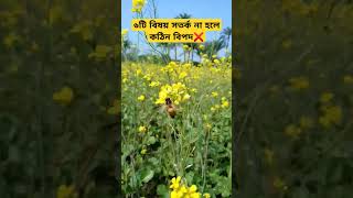 এখনই সতর্ক হন❌|| #2023 #vairal #new #shortvideo #shortsfeed #tags #bangla #holyupdate #islamicprayer