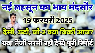 मंदसौर मंडी नई लहसून का भाव 19 फरवरी 2025 | नई देसी व ऊटी लहसून भाव | Aaj ka Lahsun bhav #mandsaur