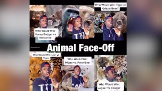 Gorilla vs Grizzly Bear!! Mndiaye_97 Animal Face-Off Compilation!!