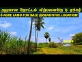 6 ACRE FOR SALE @LOW BUDGET |முதலீட்டிற்கு ஏற்ற 6 ஏக்கர் நிலம் விற்பனைக்கு #landforsale #investment