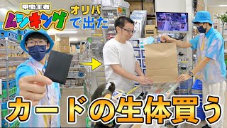 秋葉原のカードショップに売ってたムシキングガチャで出た生体を昆虫ショップで買った結果