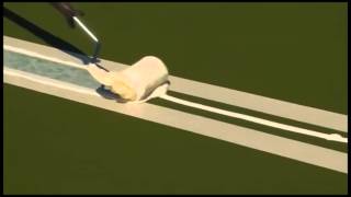 Pickleball Court Lines: Seal and Paint Instructions