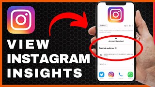 How to View Instagram Insights (Explained)