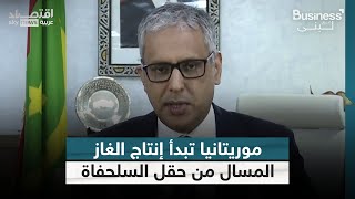 وزير الطاقة الموريتاني: أول شحنة غاز مسال من حقل السلحفاة ستكون بنهاية فبراير | #بزنس_مع_لبنى