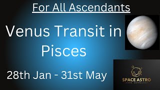 Venus Transit in Pisces For All Ascendants from 28th January till 31st May 2025