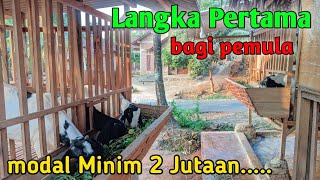 Cara ternak kambing pemula modal kecil@kandangkakulinfarm