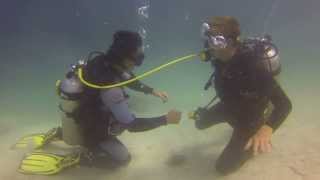 Divemaster Stress Test