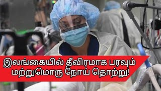 இலங்கையில் தீவிரமாக பரவும் மற்றுமொரு நோய் தொற்று! | Rat fever | Rimsan Updates