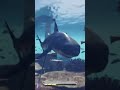 Shark attack and treasure!!! Assassin’s creed odyssey #assassinscreedodyssey