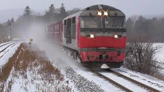 【赤スカートあり】根室線貨物列車 冬の始まりの頃