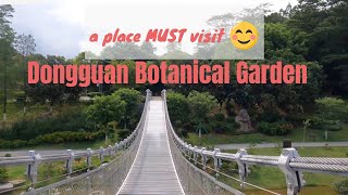 Botanical Garden in Dongguan City, Guangdong Province, China| Walking 东莞植物园