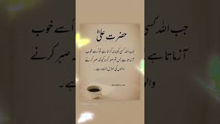 Hazrat Ali quotes in urdu #youtube #urdu #fyp #islamicvoice #motivational  #youtubeshorts