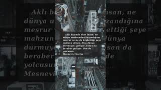 Ebedi bir ömür de rahat ve huzur ancak nefsin arzularına gem vurmakla mümkün olur. #dua #risaleinur