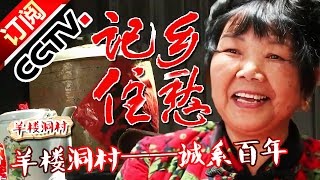 《记住乡愁第二季》 20160116 第十四集 羊楼洞村——诚系百年