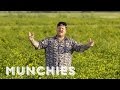 MUNCHIES Presents: The Home of Hot Sauce with Matty Matheson