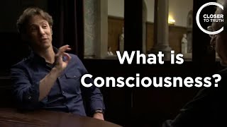 David Eagleman - What Is Consciousness?