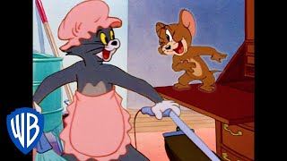 Tom y Jerry en Latino | ¿Quién es la mejor mascota? | WB Kids