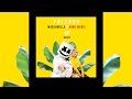 Marshmello & Anne-Marie - FRIENDS (ASH Remix)