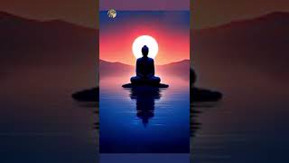 বুদ্ধের সংক্ষিপ্ত চারটি বাণী।#motivation #buddha #buddham #buddhism #buddhist #shortvideo #shorts.