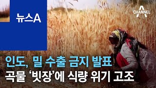 인도, 밀 수출 금지 발표…곡물 ‘빗장’에 식량 위기 고조 | 뉴스A