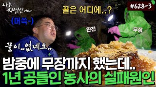 아프니까 청춘이다! 두 번의 실패 만에 맛보는 꿀의 맛🍯✨｜자연인 다시 보기 628-3