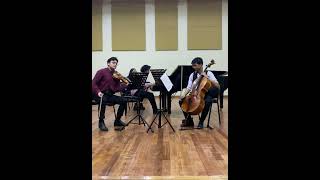 Brahms Piano Trio 3