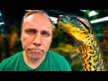 MY MENTAL HEALTH STRUGGLES.. HUGE ANACONDA THERAPY ANIMAL?? | BRIAN BARCZYK