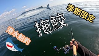 香港船釣 - 一年一度之期待港水拖鮫 釣唔到魚都要揮竿百次才回家 20240803 #釣魚 #路亞#釣り#鮫魚#青物#鯊魚#假餌#香港釣魚#Minnow#東水#果洲#沖之丸