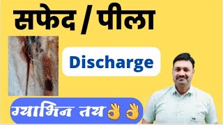 सफेद पीले डिस्चार्ज देने वाली ग्याभिन ??     Ramawat vet gyan