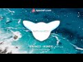 BRANCO - HUNDO (bass boosted)
