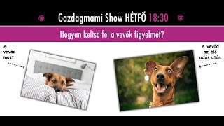 Hogyan keltsd fel a vevők figyelmét?