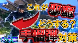 【スマブラSP】ルキナ最強によるルキナ研究講義#19「スネーク手榴弾対策」