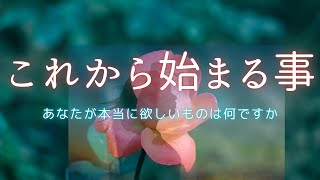 これから始まること🍀あなたが本当に欲しいものは何ですか？