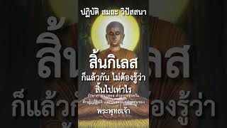 สิ้นกิเลสก็แล้วกัน ไม่ต้องรู้ว่าสิ้นไปเท่าไร #ปฏิบัติสมถะวิปัสสนา #พุทธวจน