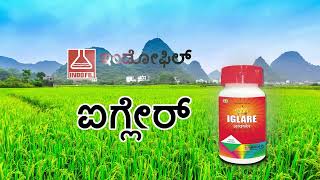 Indofil | IGLARE | Kannada | Fungicide