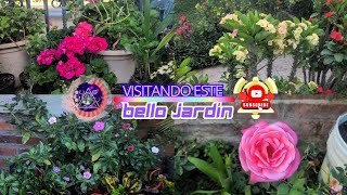 Visitando este bello jardín 🌻🌹🌼🌸🌹🌼🪻🌻🪷🥰