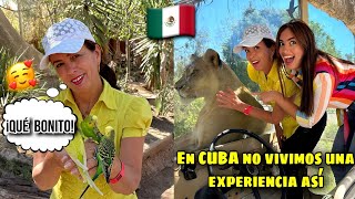 🇲🇽 En nuestro país CUBA NUNCA vivimos ESTA EXPERIENCIA *Gracias México* @MaryFra