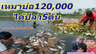 ลงแหจับปลา120,000 #หว่านแหครั้งเดียวได้100ตัว