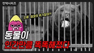 🍠 만약 지금 당장 동물들이 인간만큼 똑똑해진다면 어떻게 될까? (feat. 혹성탈출)